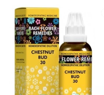 Flower Remedies Drop Chestnut Bud (30ml)