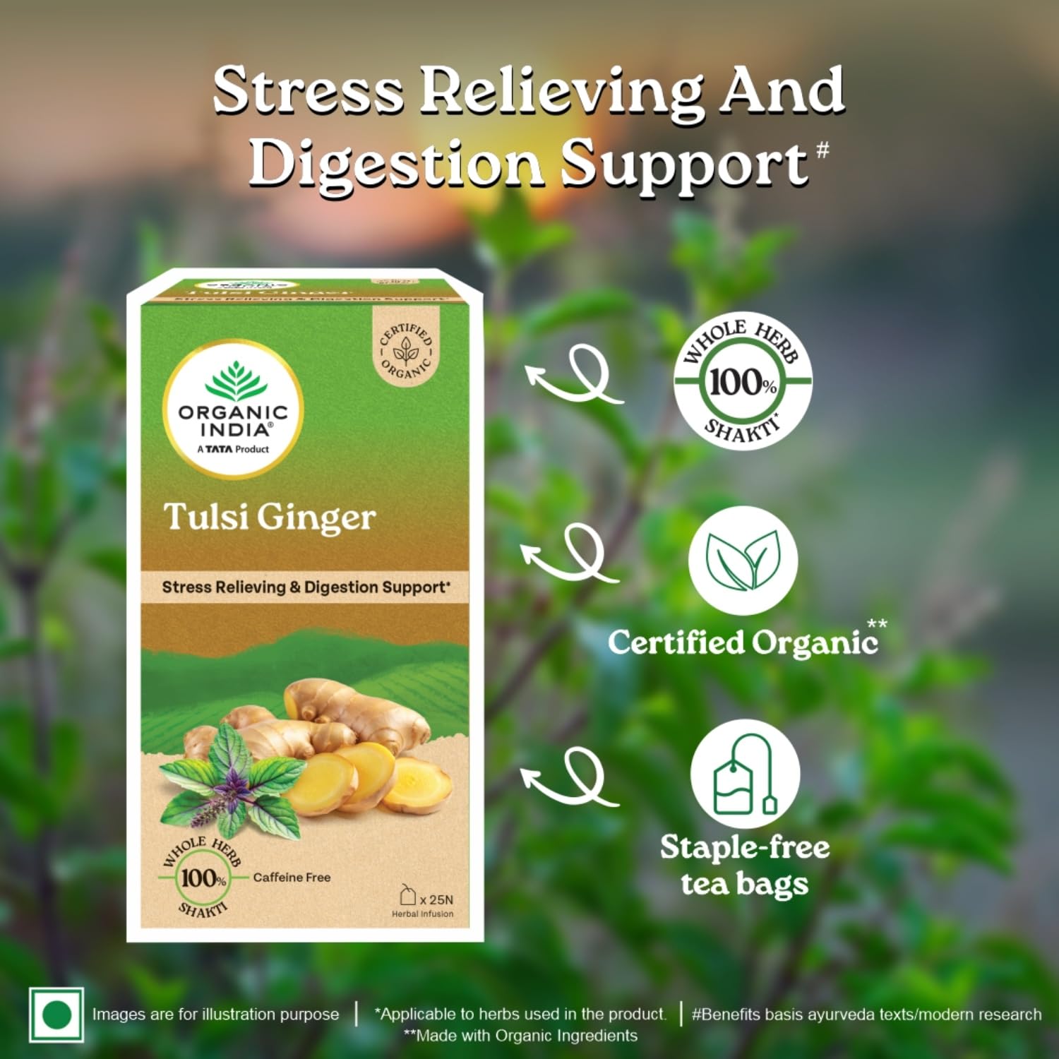 Organic India Tulsi Ginger - 25 Tea Bags