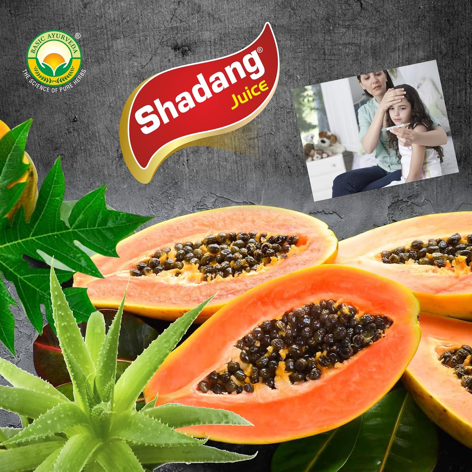 Basic Ayurveda Shadang Juice 500 ml For immunity, body temperature, blood platelet production