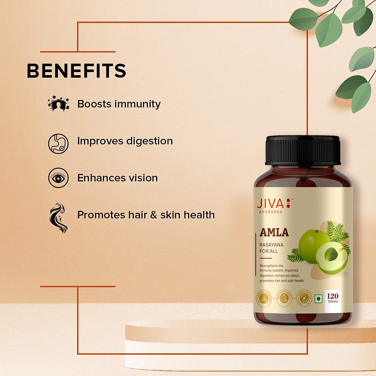 Jiva Amla Tablets 100% Pure Herbs Used, Rich In Vitamin C | Protects Against Free Radicals | Rich In Antioxidants - 120 Tablet (Pack of 1)