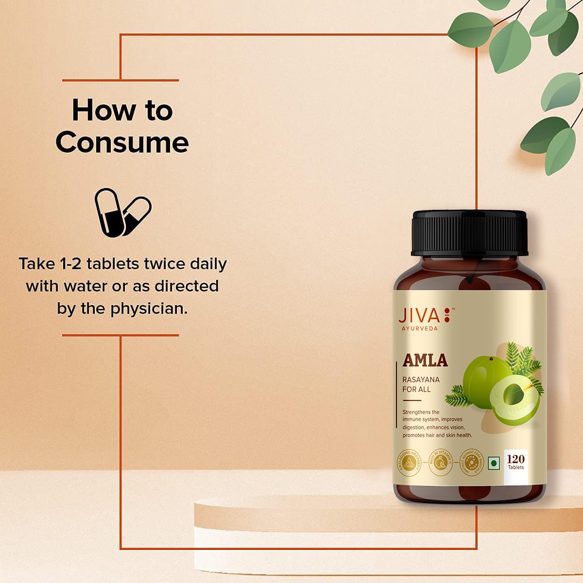Jiva Amla Tablets 100% Pure Herbs Used, Rich In Vitamin C | Protects Against Free Radicals | Rich In Antioxidants - 120 Tablet (Pack of 1)