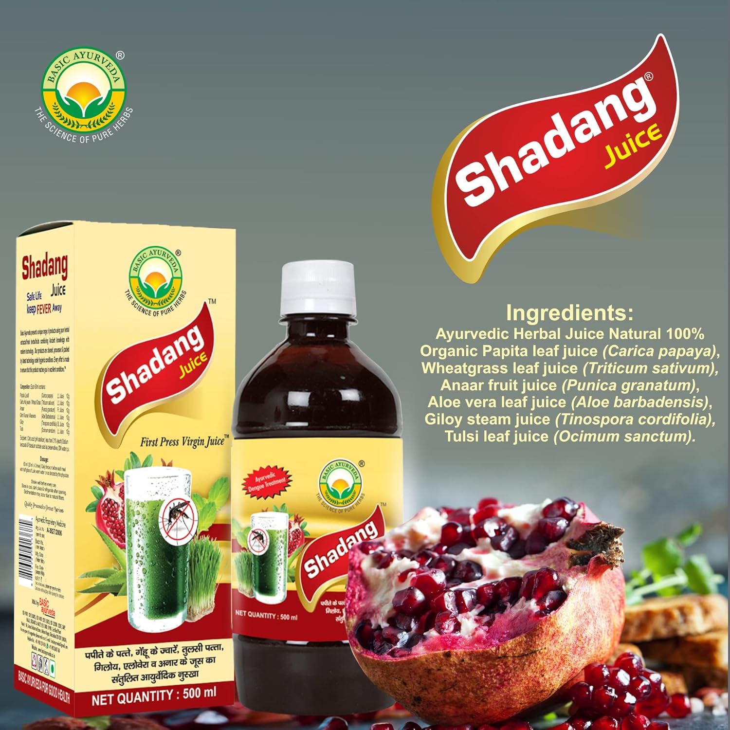 Basic Ayurveda Shadang Juice 500 ml For immunity, body temperature, blood platelet production