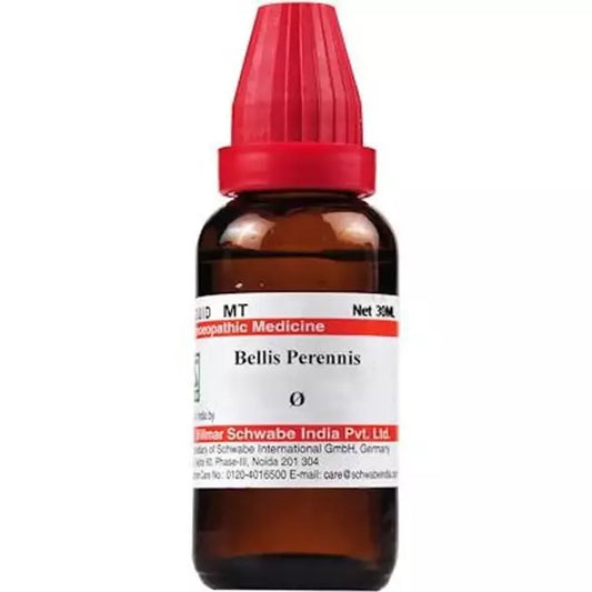 Dr Willmar Schwabe India Bellis Perennis Mother Tincture 1X (Q) (30ml) pimples Back Pain gout