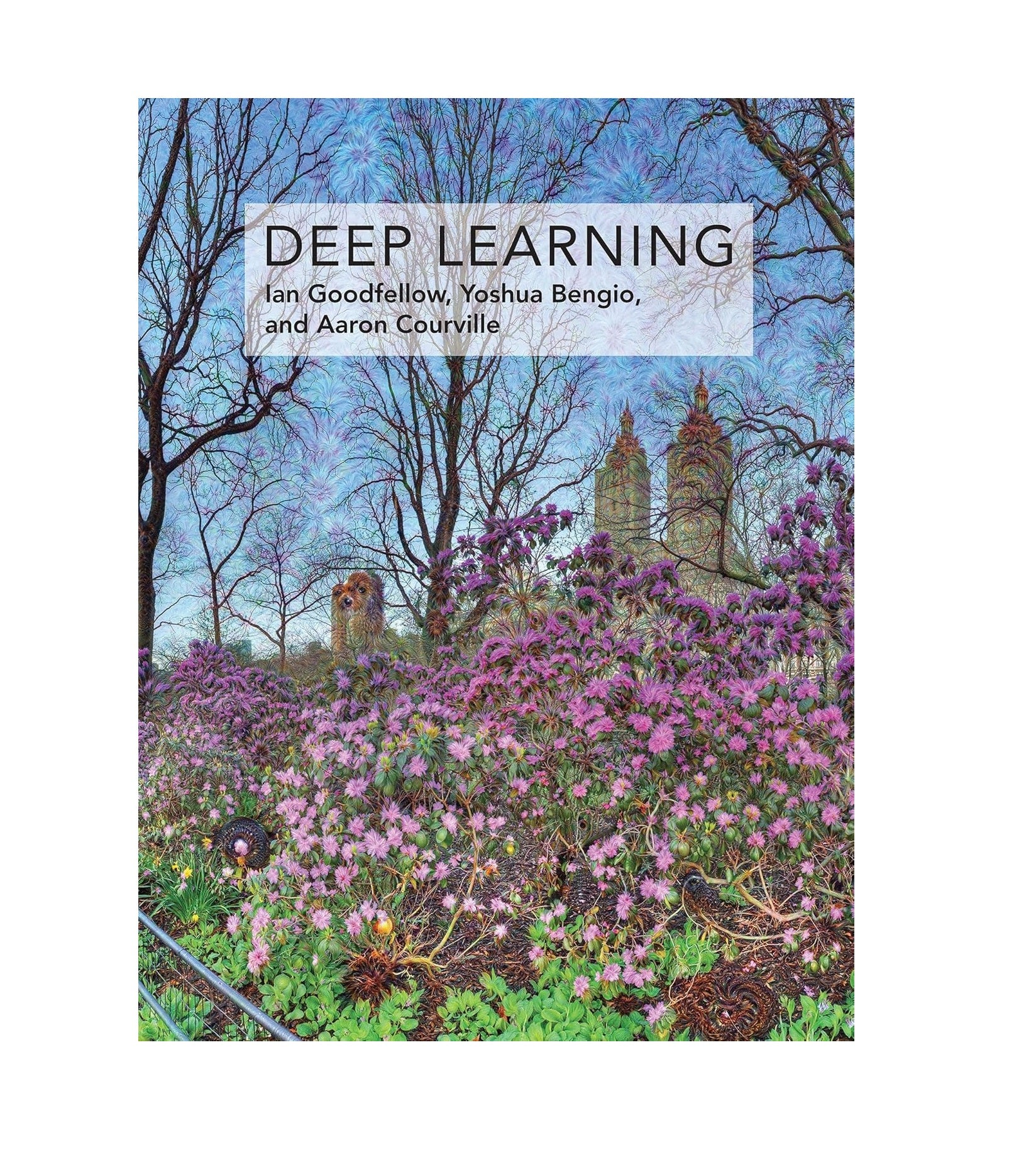 Deep Learning Book ( Hardcover )