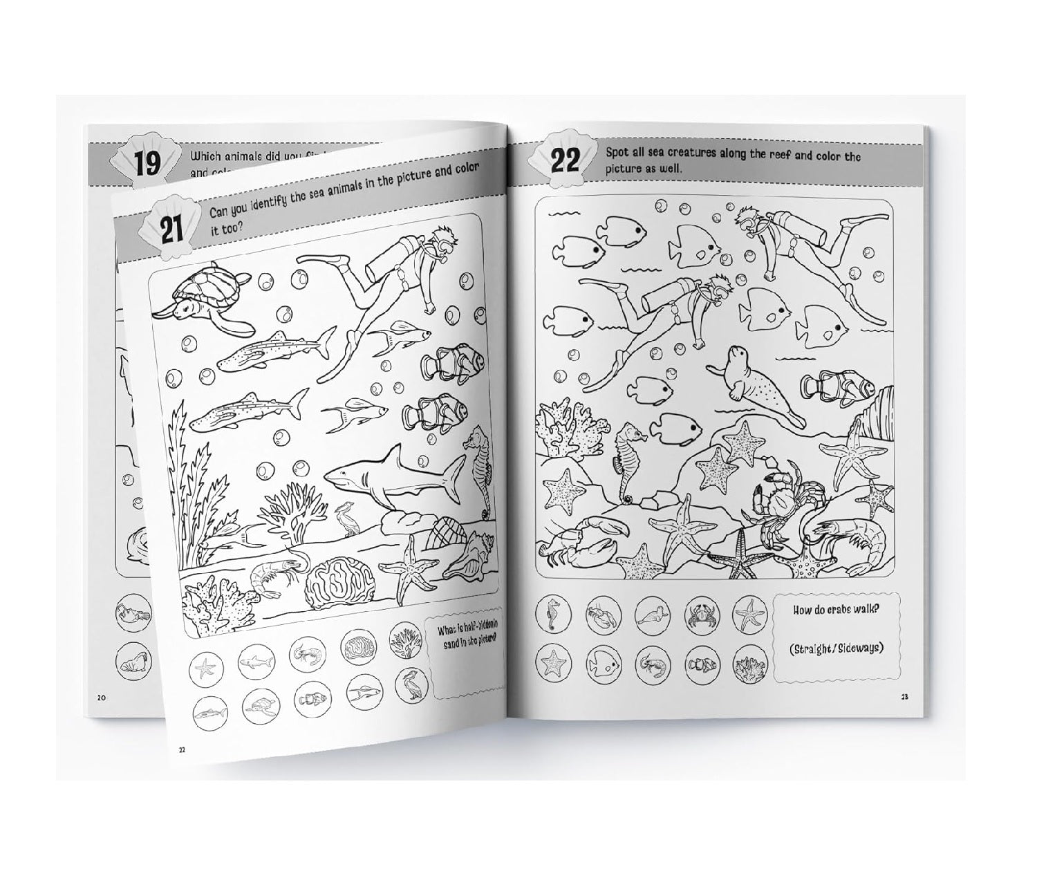 Lots to Spot In The Water : Search, Find and Color Activity Book