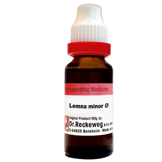 Dr Reckeweg Homeopathic Lemna Minor Dilution (Q) 20ml for Throat swelling diarrhoea