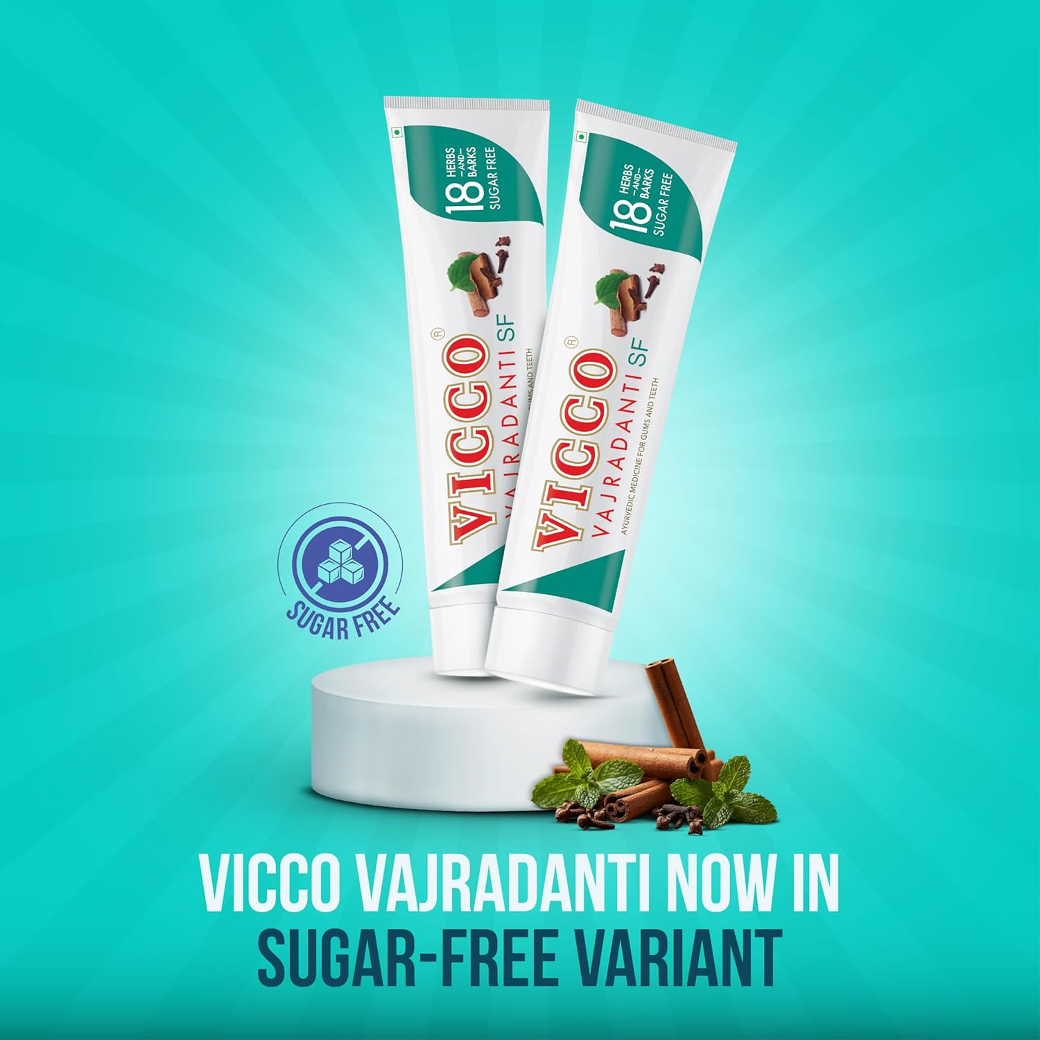 Vicco Vajradanti Sugar Free Paste I Oral Care with 18 Natural Ingredients I No Artificial Sweetener I Cleans Teeth, Fights Bacteria & Supports Gum Health I [160g I Pack of 1]