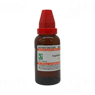 Dr Willmar Schwabe India Aspidosperma Mother Tincture (Q) (30ml) for asthma Flu Fever swelling
