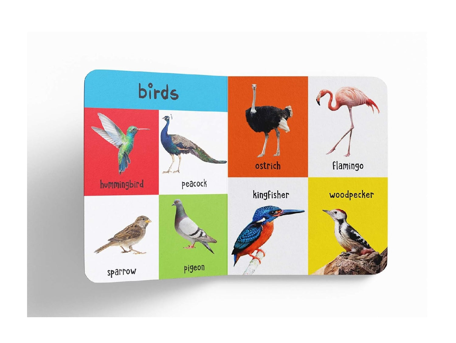 My First 4in1 Wild Animals, Pet & Farm Animals, Birds, Sea Animals (Padded Board Book)