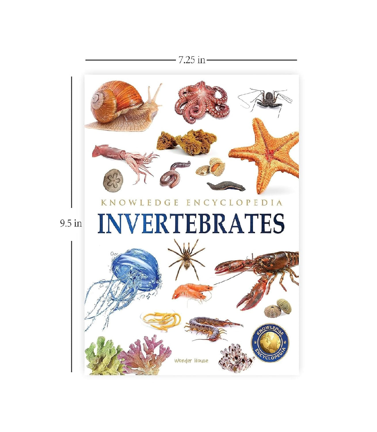 Animals - Collection of 6 Books : Knowledge Encyclopedia For Children