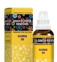 New Life Bach Flower Gorse (30ml) For positive thinking, confidence, hope, panic attacks and mental disorders