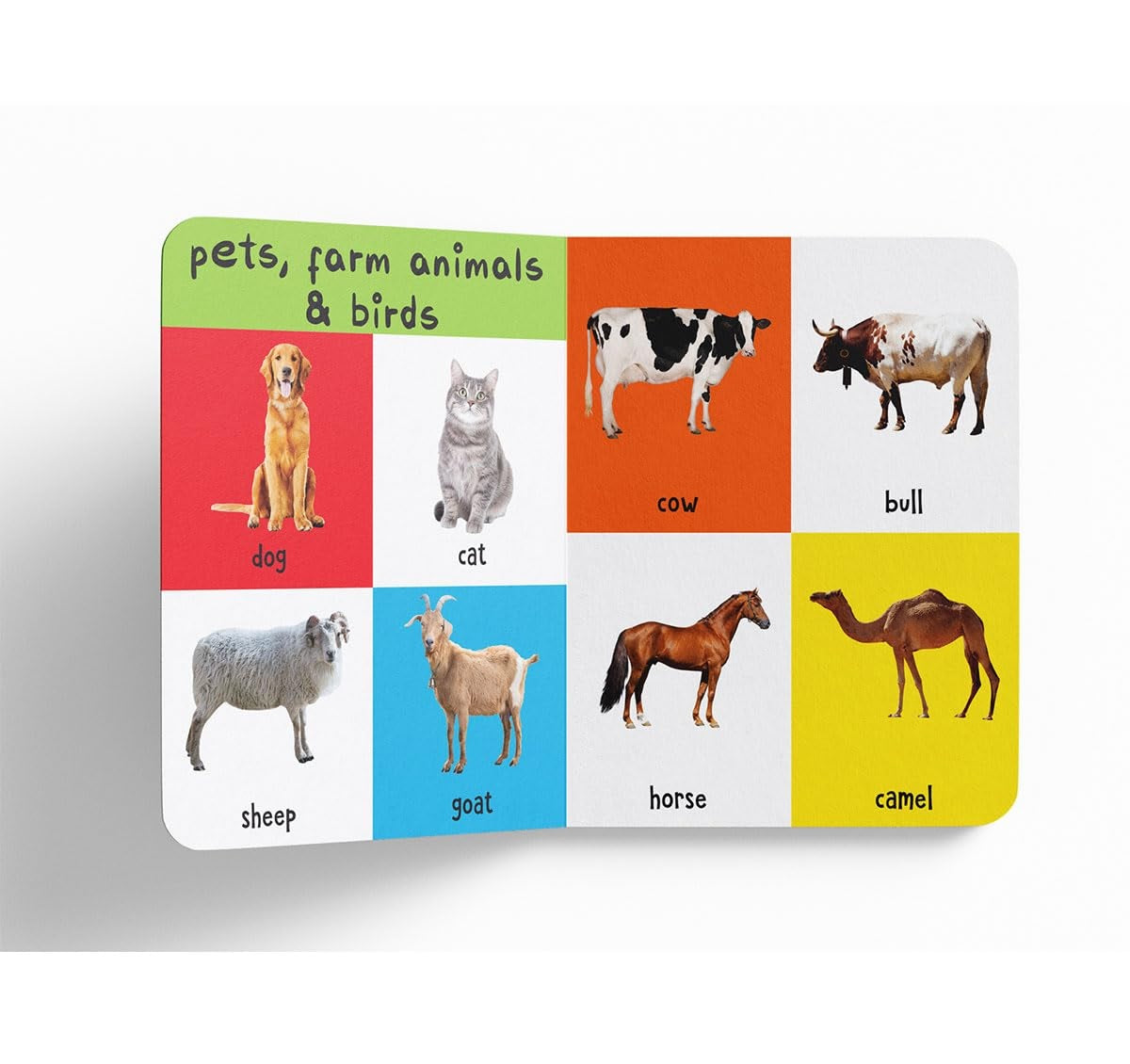 My First 4in1 Wild Animals, Pet & Farm Animals, Birds, Sea Animals (Padded Board Book)