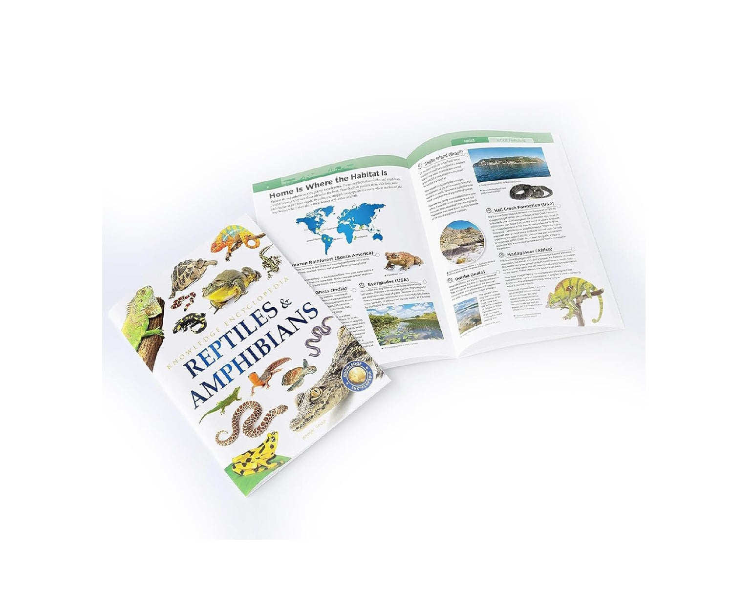Animals - Collection of 6 Books : Knowledge Encyclopedia For Children