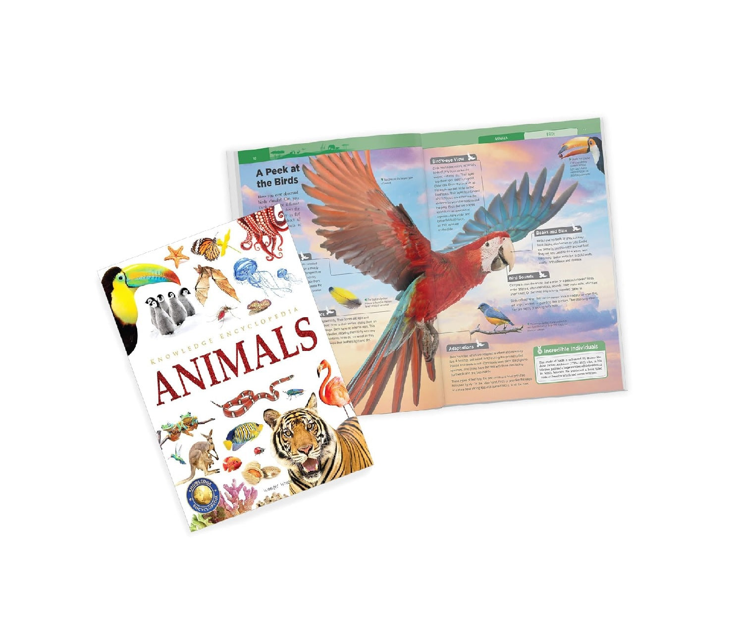 Animals - Collection of 6 Books : Knowledge Encyclopedia For Children