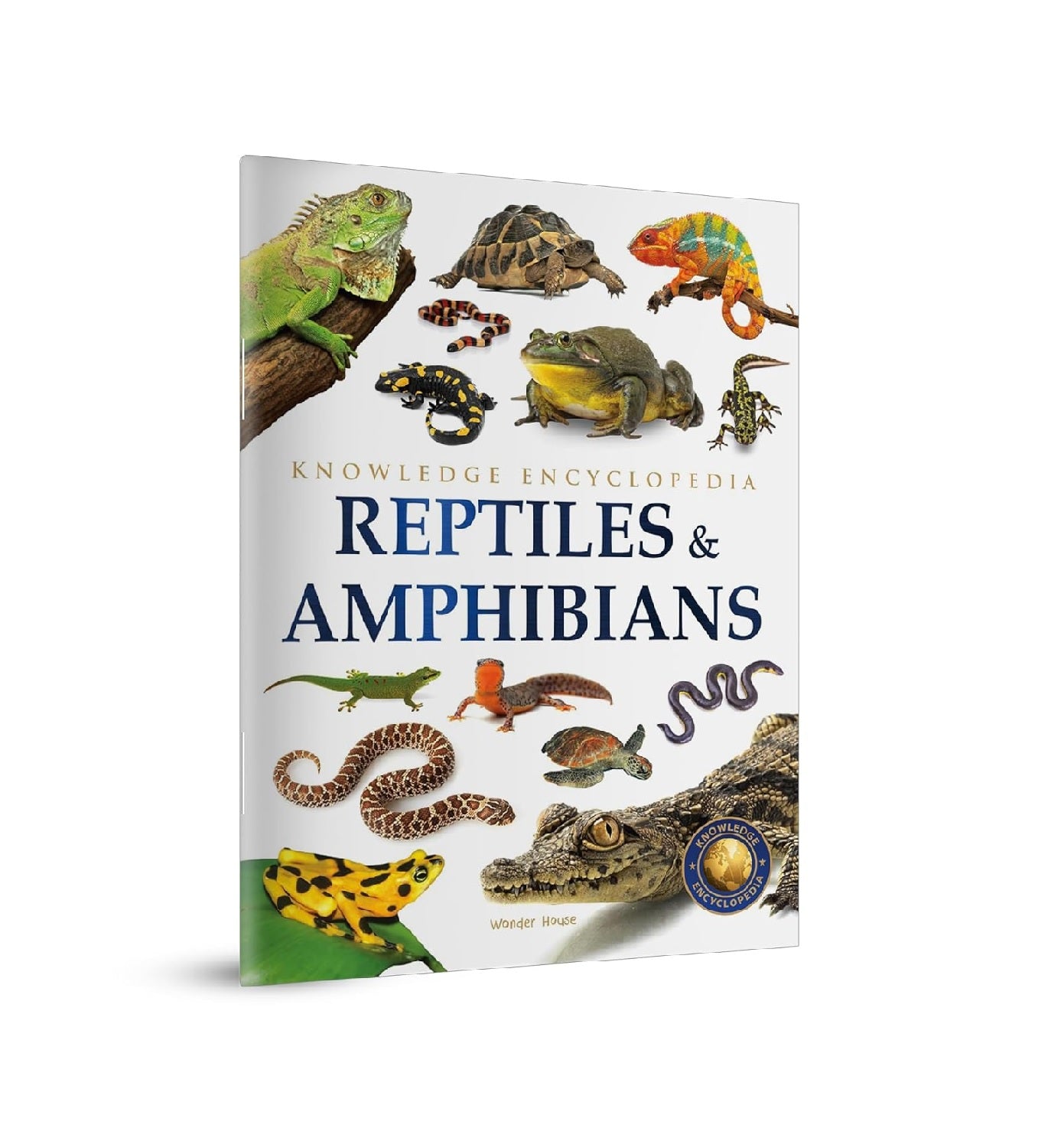 Animals - Reptiles and Amphibians : Knowledge Encyclopedia For Children Paperback Book