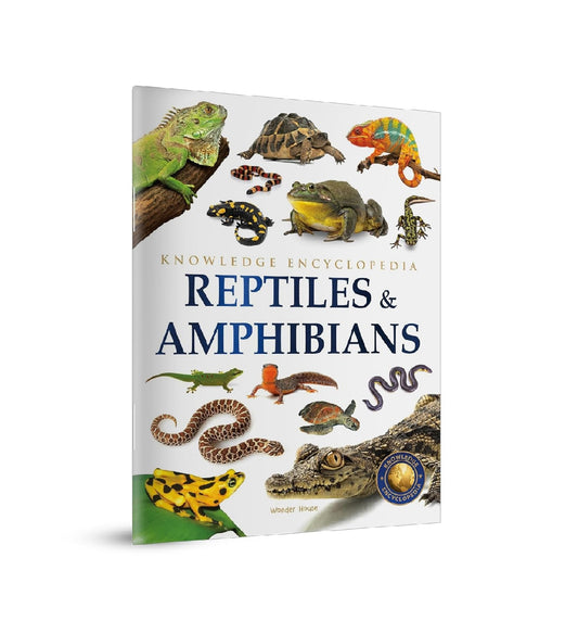Animals - Reptiles and Amphibians : Knowledge Encyclopedia For Children Paperback Book