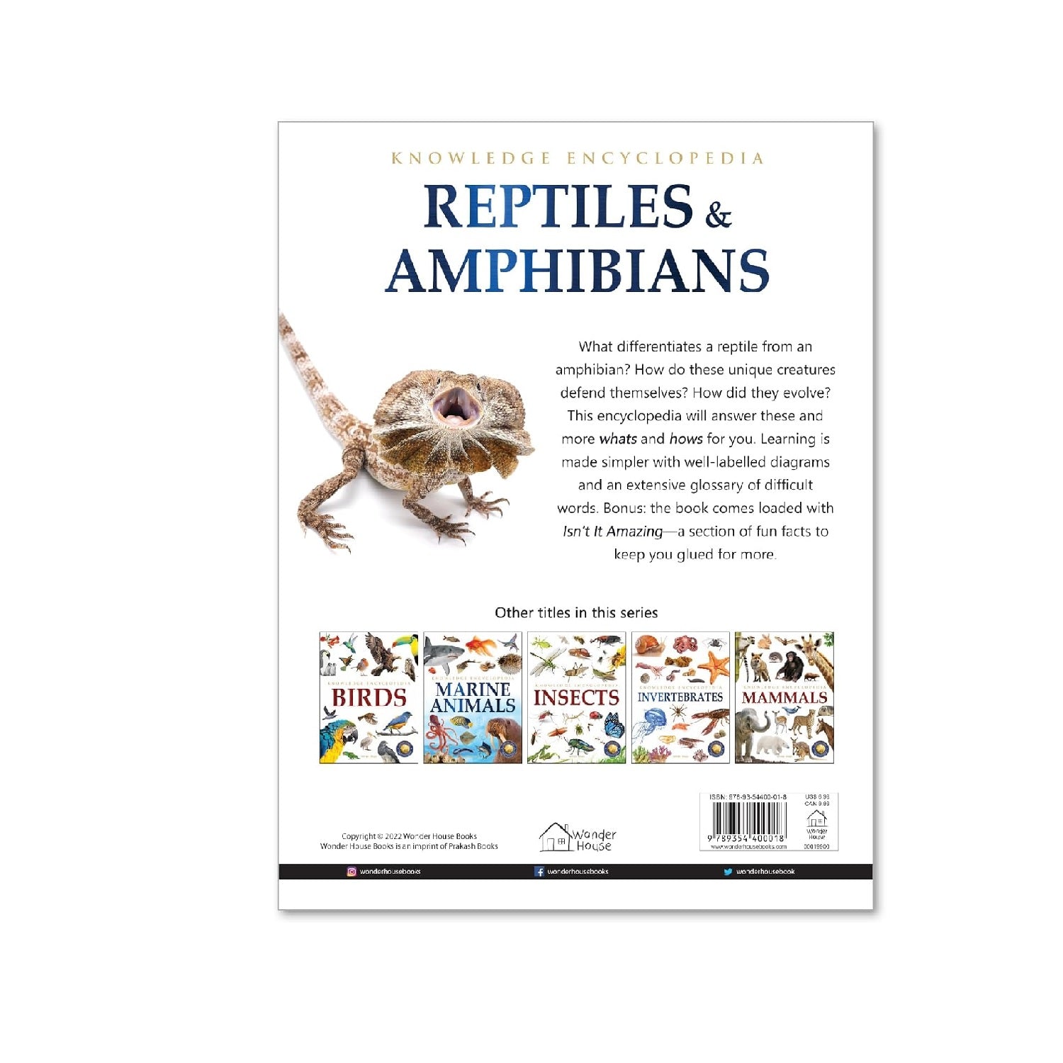 Animals - Reptiles and Amphibians : Knowledge Encyclopedia For Children Paperback Book