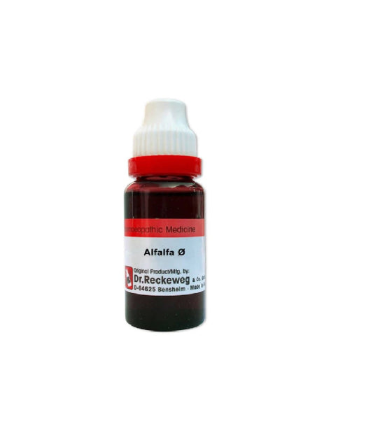Dr. Reckeweg Alfalfa Mother Tincture Q - 20 ml - 1X