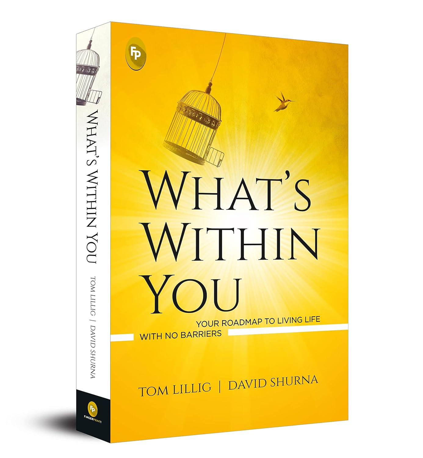 What’s Within You : Your Roadmap to Living Life With No Barriers (Paperback)