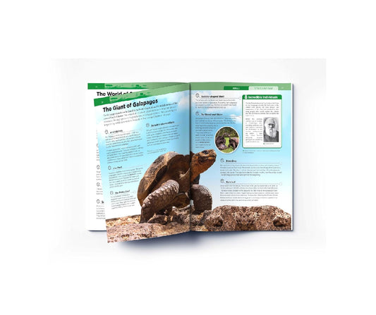 Animals - Reptiles and Amphibians : Knowledge Encyclopedia For Children Paperback Book