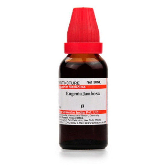 Dr. Willmar Schwabe India Eugenia Jambosa Mother Tincture (Q) (30ml) for indigestion nausea vomiting