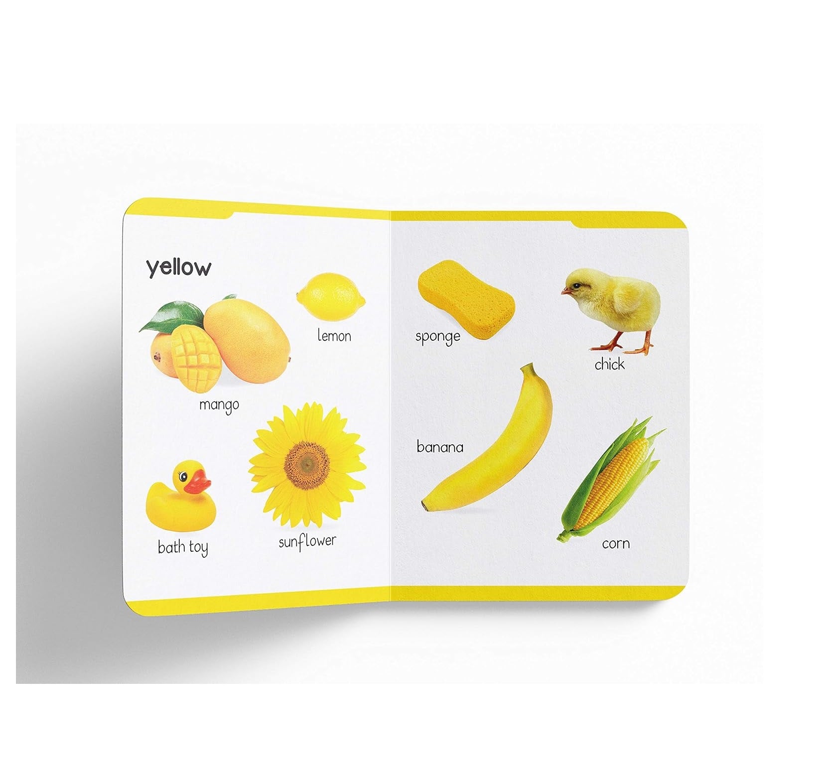 My First Padded Book of Colors and Shapes: Early Learning Board Book for Kids | Durable Padded Board Book | Hardcover