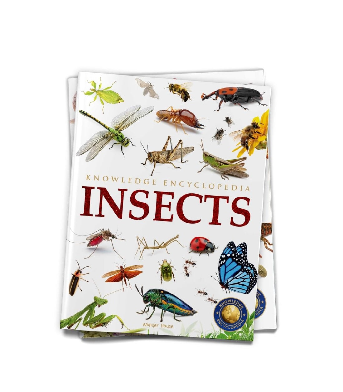 Animals - Insects : Knowledge Encyclopedia For Children Paperback  Book