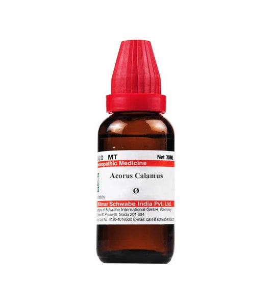 Dr Willmar Schwabe India Acorus Calamus Mother Tincture (Q) (30ml) for diarrhoea bleeding gums vomiting nausea
