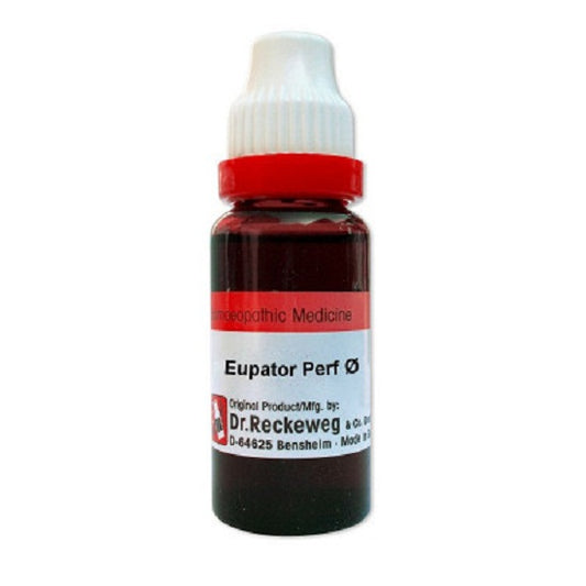 Dr. Reckeweg Eupatorium Perfoliatum Mother Tincture 1X (Q) (20ml)