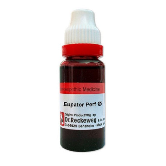 Dr. Reckeweg Eupatorium Perfoliatum Mother Tincture 1X (Q) (20ml)