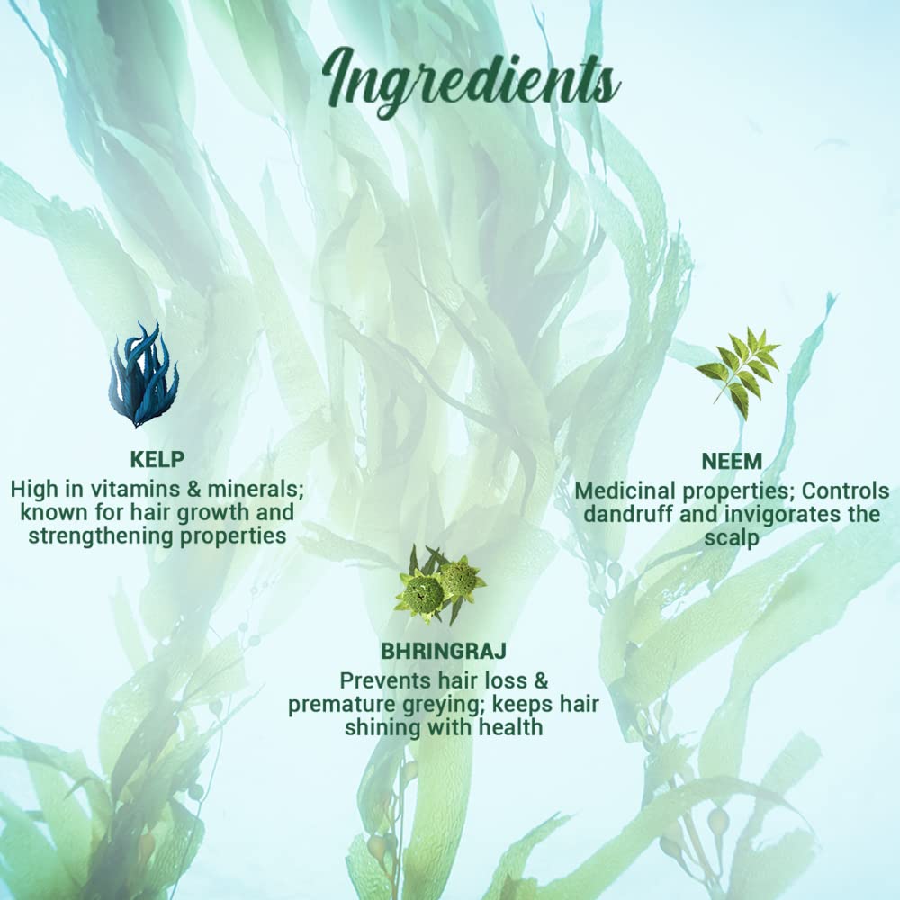 Biotique Ocean Kelp Anti Hairfall Shampoo | Intensive Hair Growth Therapy| Anti Hairfall Shampoo that Maintains Shine | 340ml