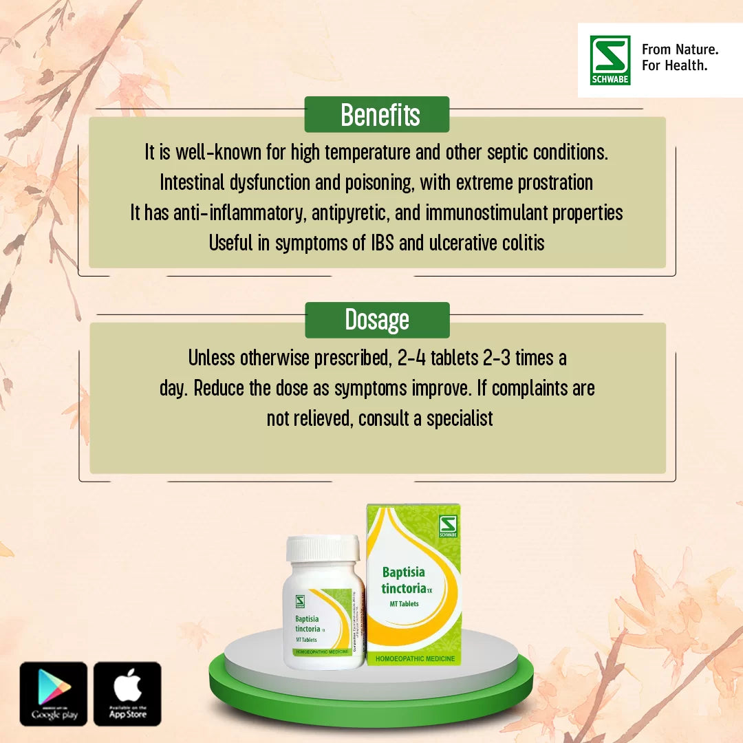Dr Willmar Schwabe India Homoeopathic Baptisia Tinctoria 1X MT Tablets (20gm) for Fever Indigestion Acidity Gas