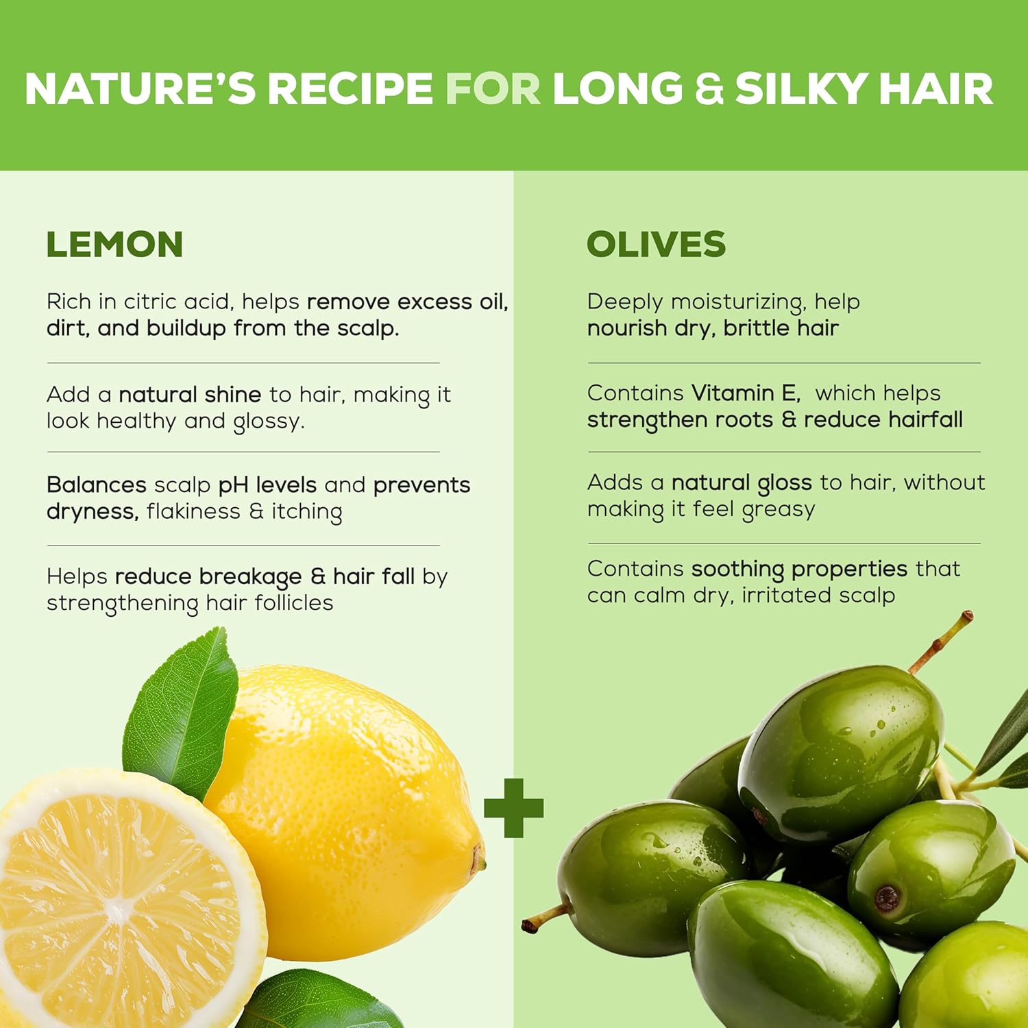 Joy Lemon & Olives Hair Dryness Control Conditioning Shampoo (340ml x 2)