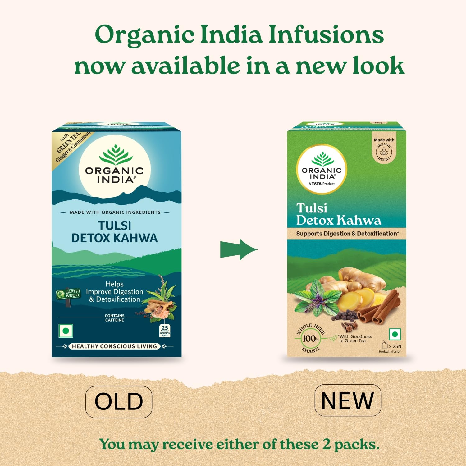 Organic India Tulsi Detox Kahwa - 25 Tea Bags, Helps Improve Digestion & Detoxification, Rich in Antioxidants