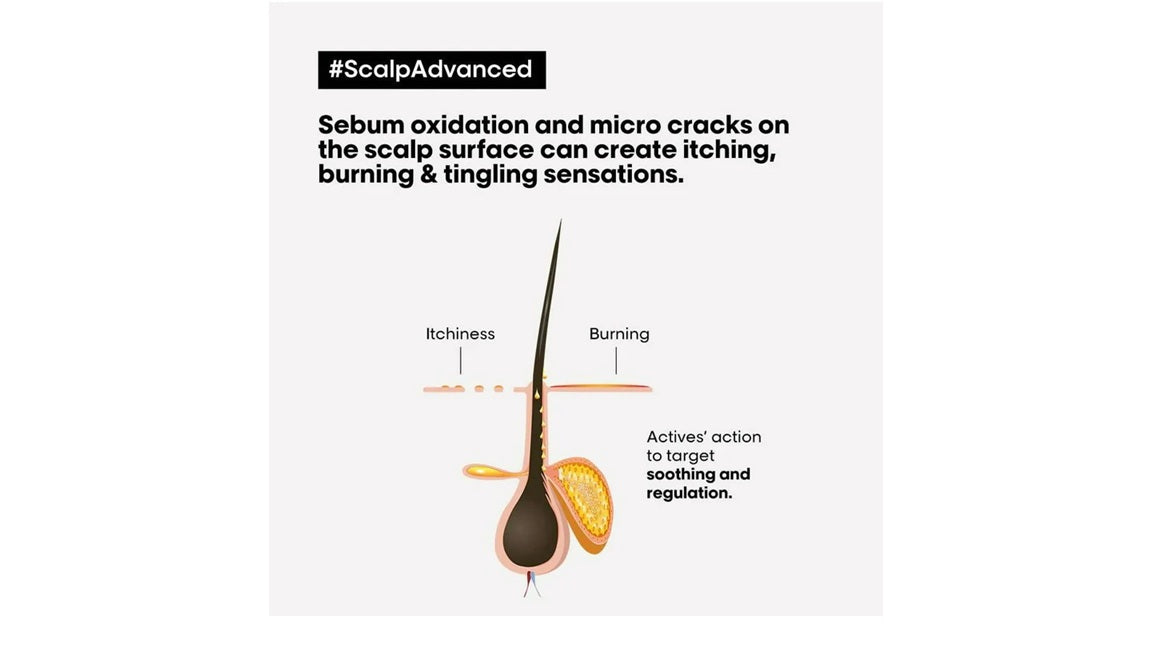 LOreal Paris Scalp Advanced Anti Discomfort Shampoo & Absolute Repair Hair Mask - Combo - 300ml + 250ml