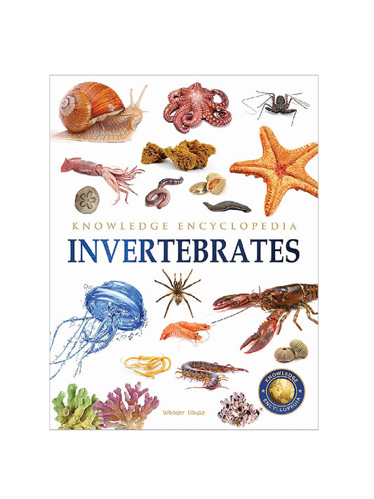 Animals - Invertebrates : Knowledge Encyclopedia For Children Paperback Book