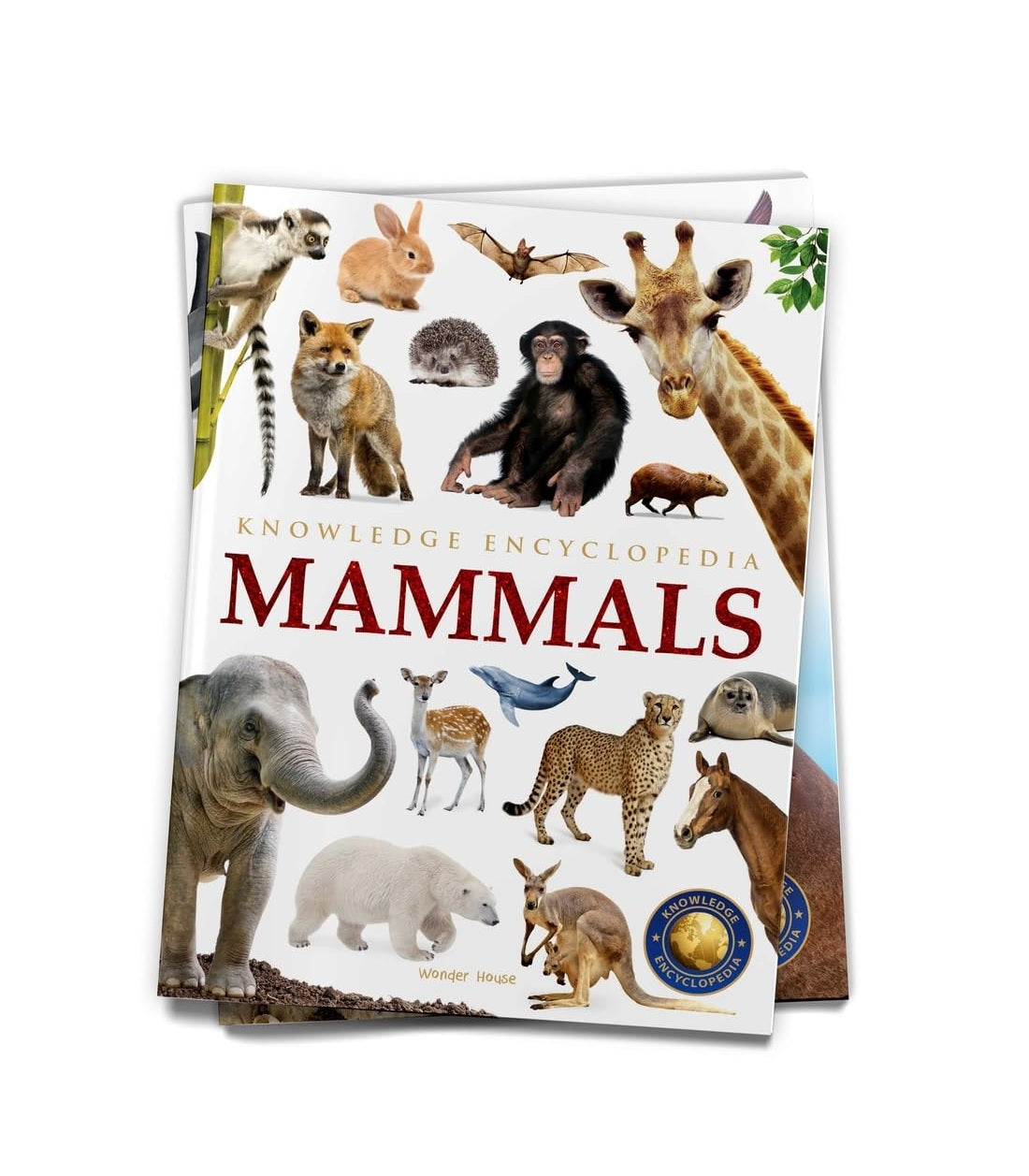 Animals - Mammals : Knowledge Encyclopedia For Children Paperback Book