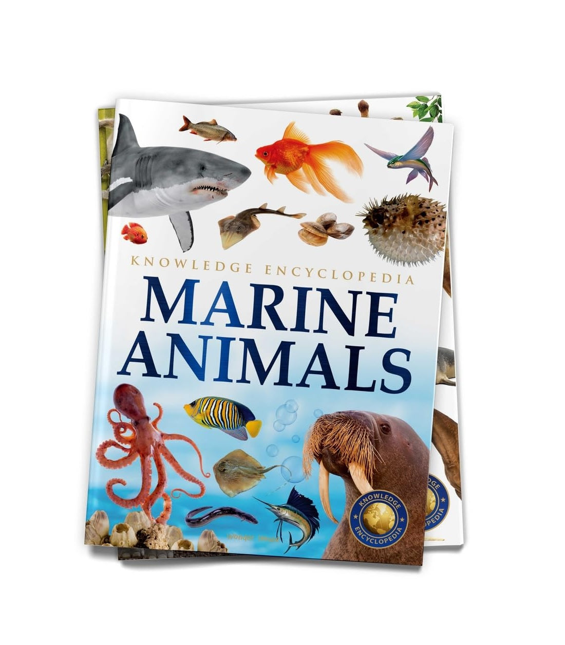Marine Animals : Knowledge Encyclopedia For Children Paperback Book