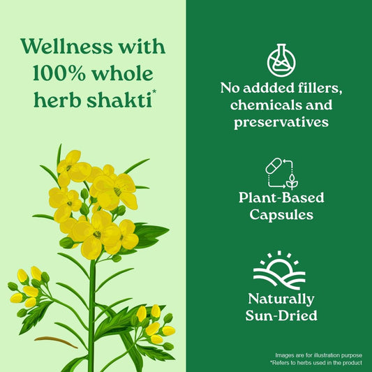 Organic India Gokshura Capsules - 60 caps