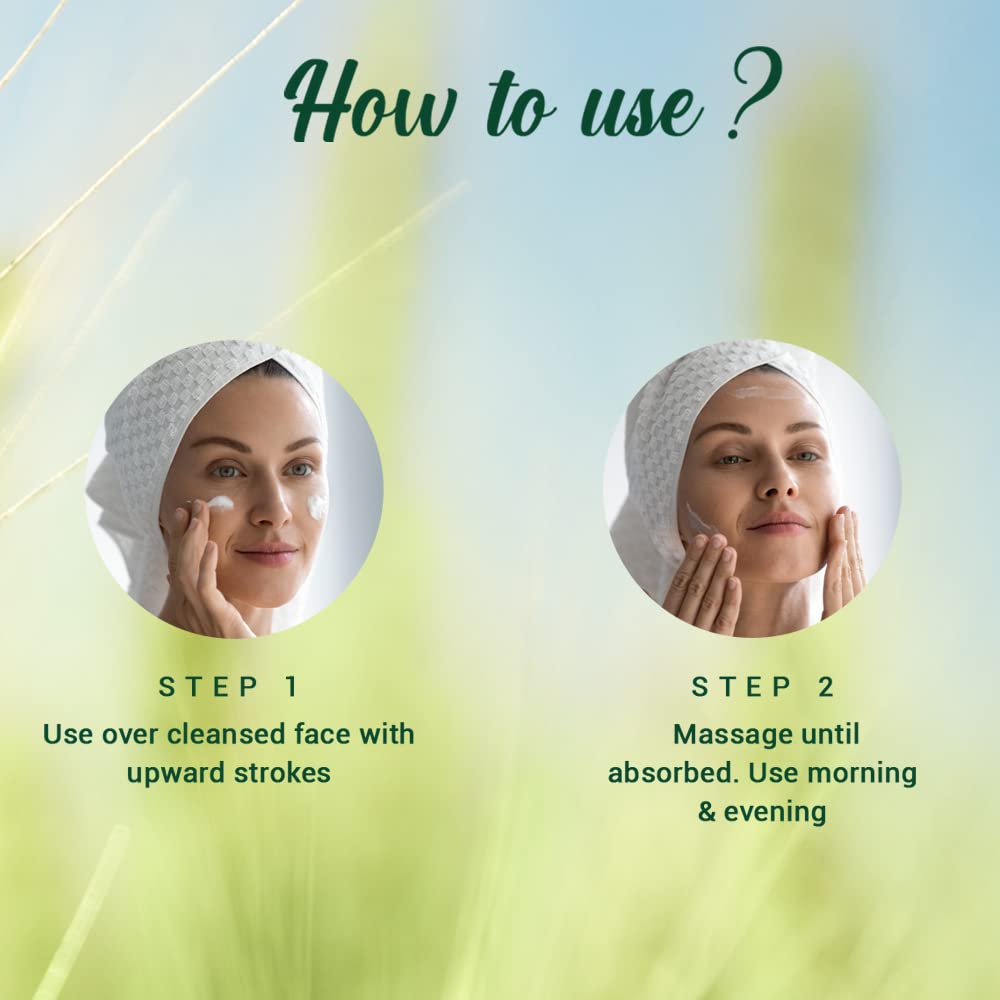Biotique Wheat Germ Anti- Ageing Night Cream | Reduces Fine Lines | Lightens dark Spots | 50 g
