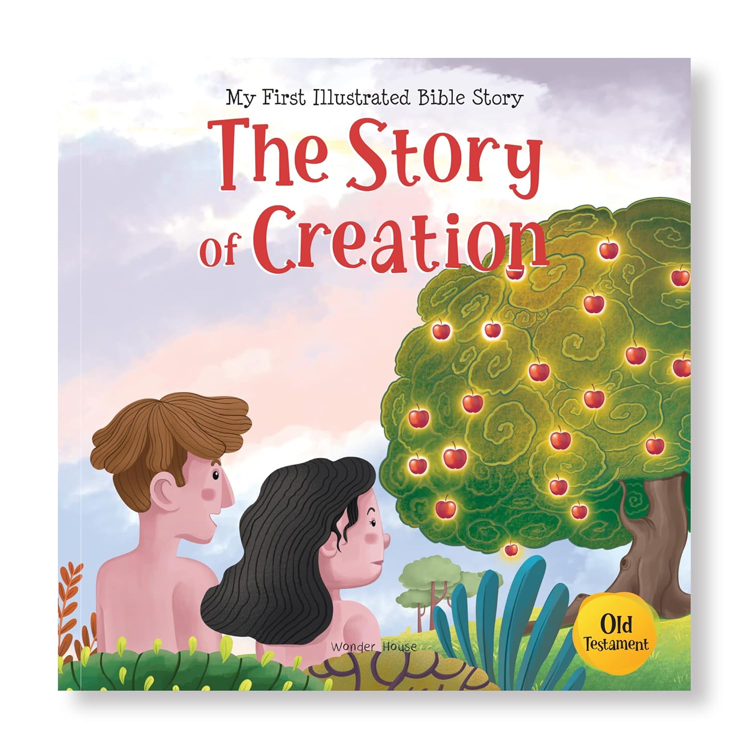 My First illustrated Bible Story: The Story of Creation Paperback  Book