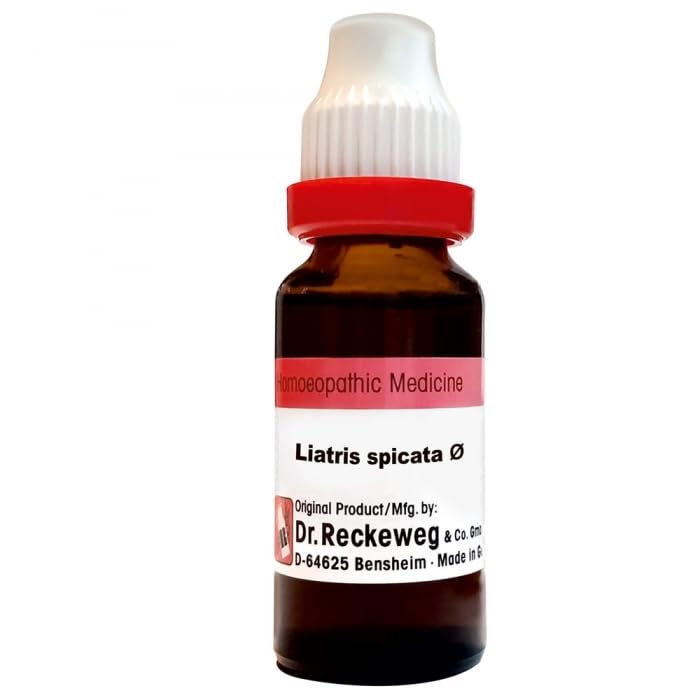 Dr. Reckeweg Liatris Spicata Mother Tincture Q - 20 ml - 1X