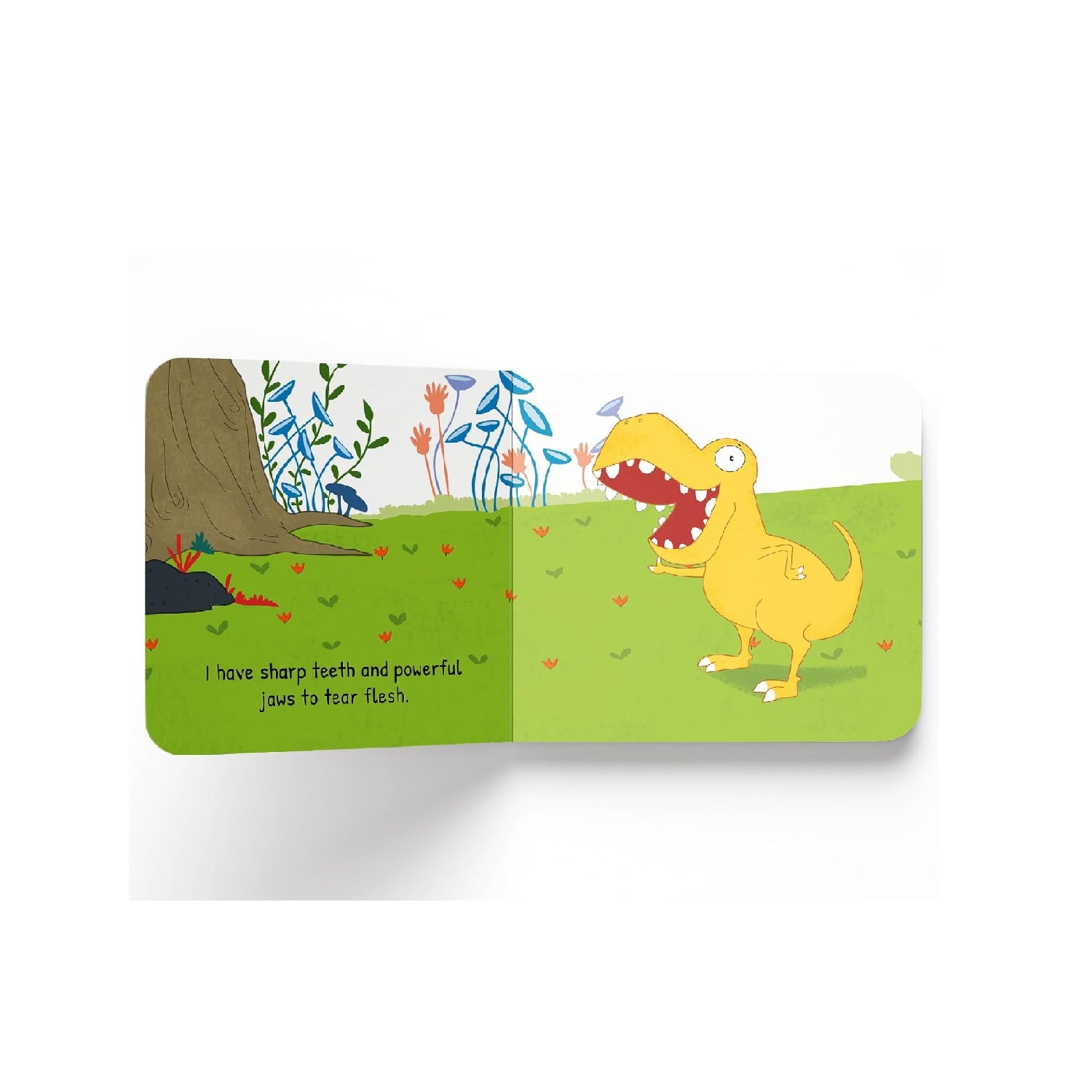 T. rex – My First Dino Board Book: Illustrated Dinosaur Picture Book for Kids |  Board Book