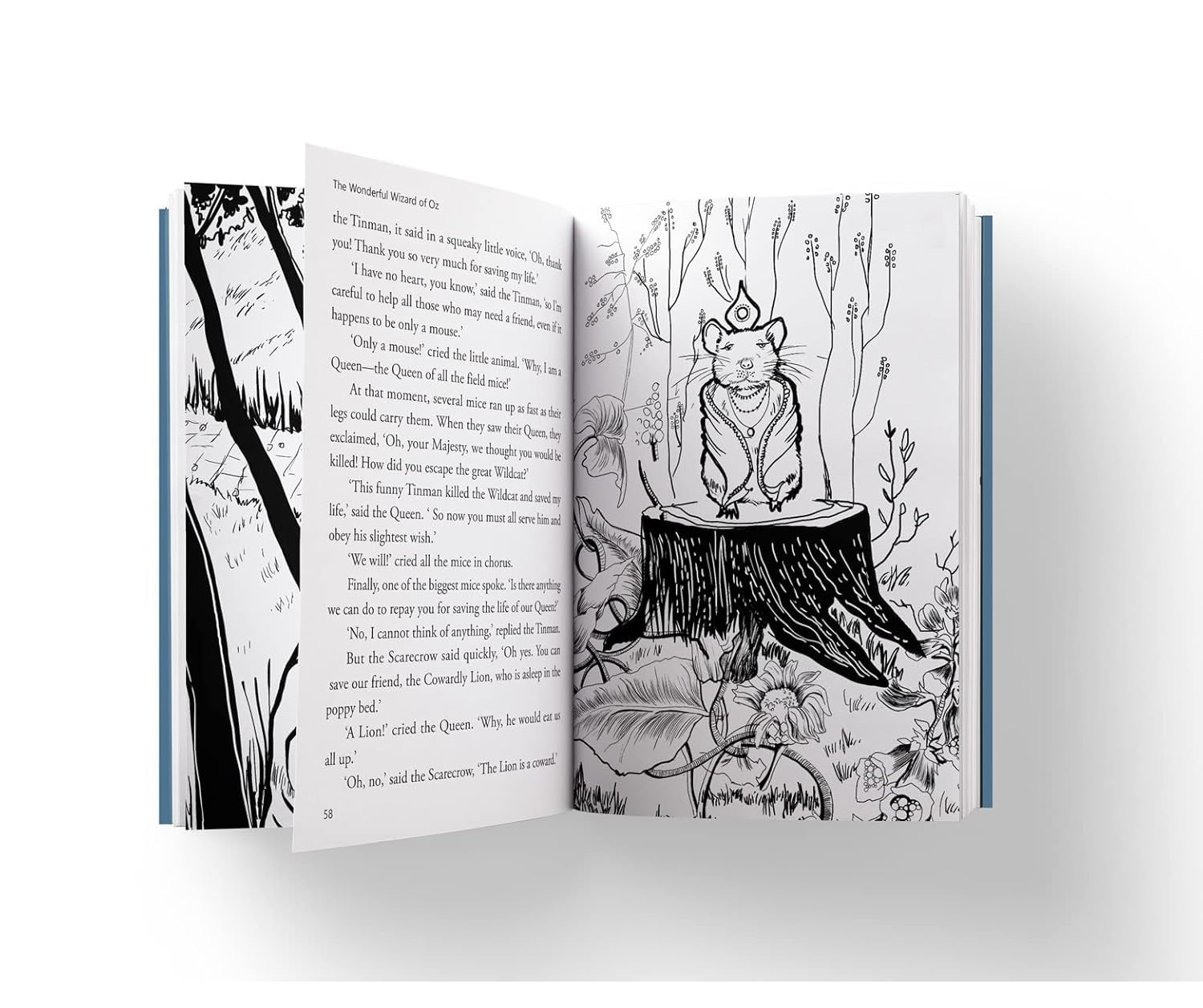 The Wonderful Wizard of Oz : llustrated Abridged Children Classic English Novel with Review Questions (Hardback) Hardcover Book