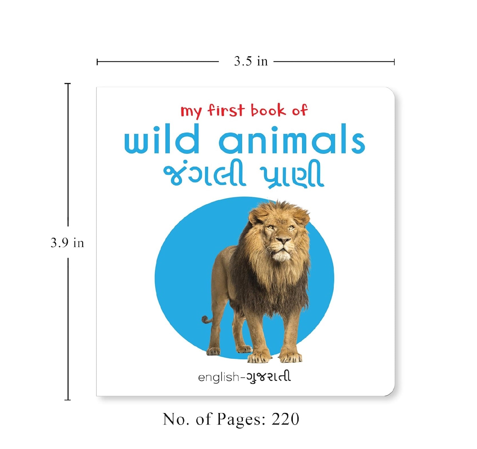 My First English-Gujarati Learning Library (Boxed Set) Hardcover  Books