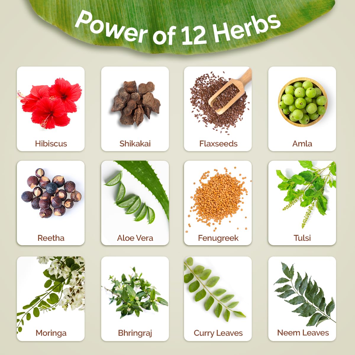 Mamaearth Kerala Thaali Cleansing Hair Mask with Power of 12 Herbs for Thick & Long Hair - 200 gm