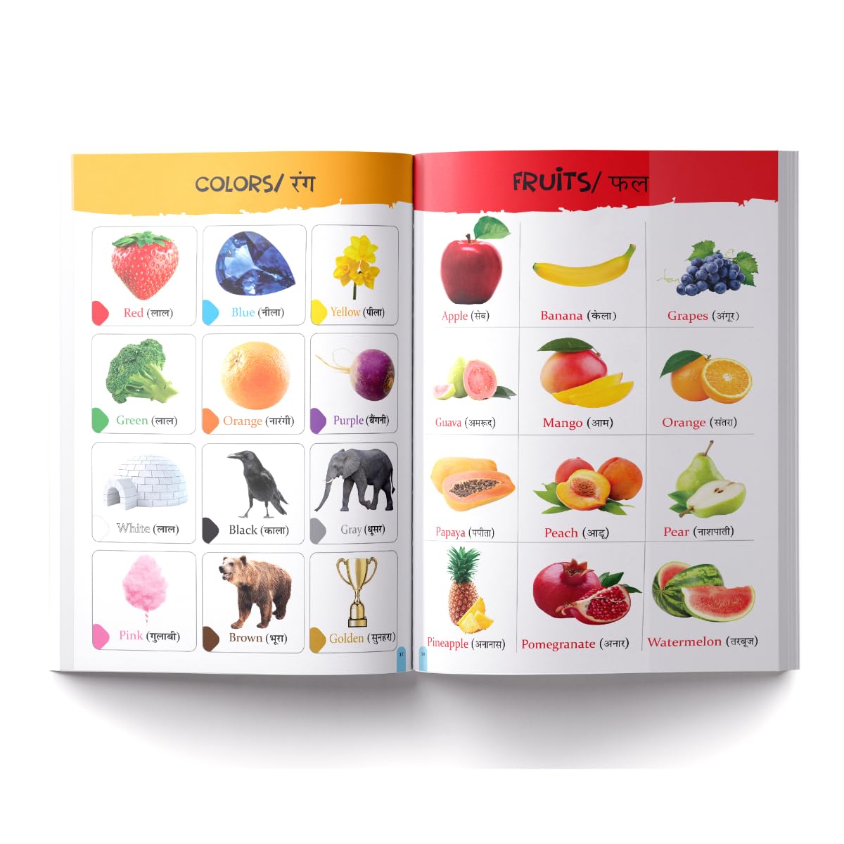 My First All in One : Bilingual Picture Book For Kids Hindi-English | Paperback