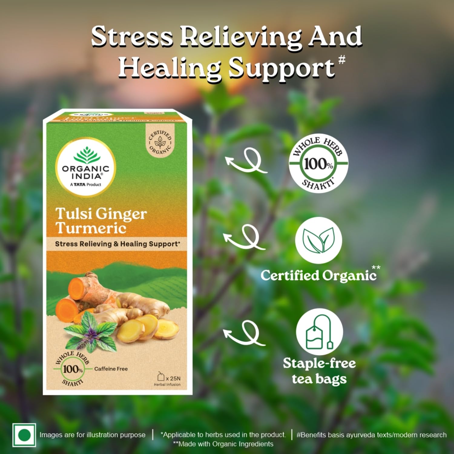 Organic India Tulsi Ginger Turmeric Tea 25 tea bags for improves immunity, boost metabolism, enhances stamina, cold, cough