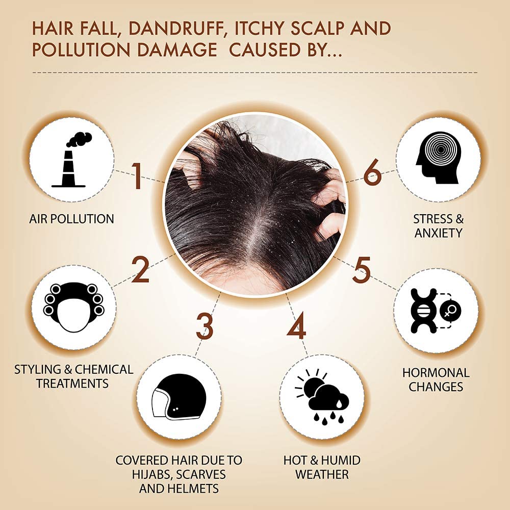 Iba Black Seed Therapy Shampoo, Conditioner, Hair Oil Combo (230 ml + 125 ml + 240 ml)