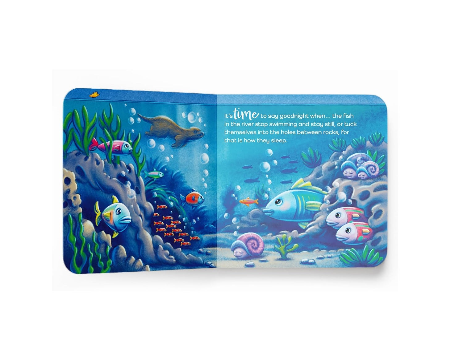 It’s Time to Say Goodnight Board book – Picture Book